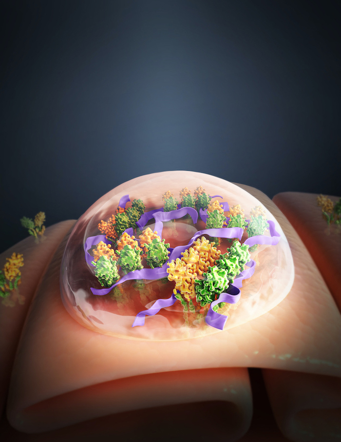 This artist’s rendering shows a synthetic polymer (purple) that activates STING proteins (yellow and green motifs) for cancer immunotherapy. 