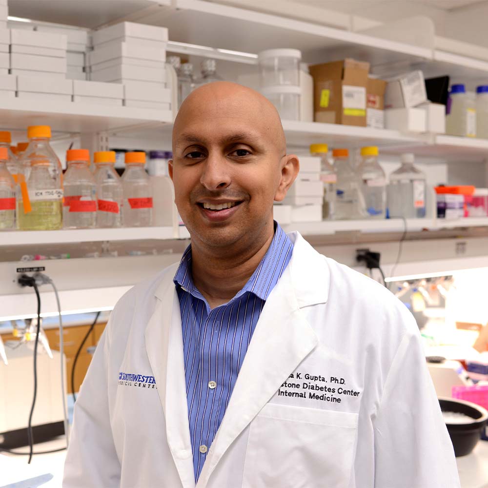 Photo of Rana Gupta, Ph.D.