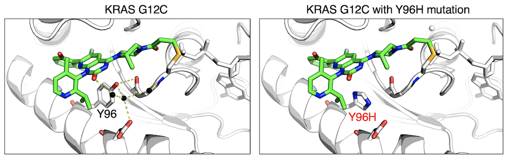 LentiMutate identified a mutation that changes an amino acid of KRAS G12C at position 96 from tyrosine (Y) to histidine (H).