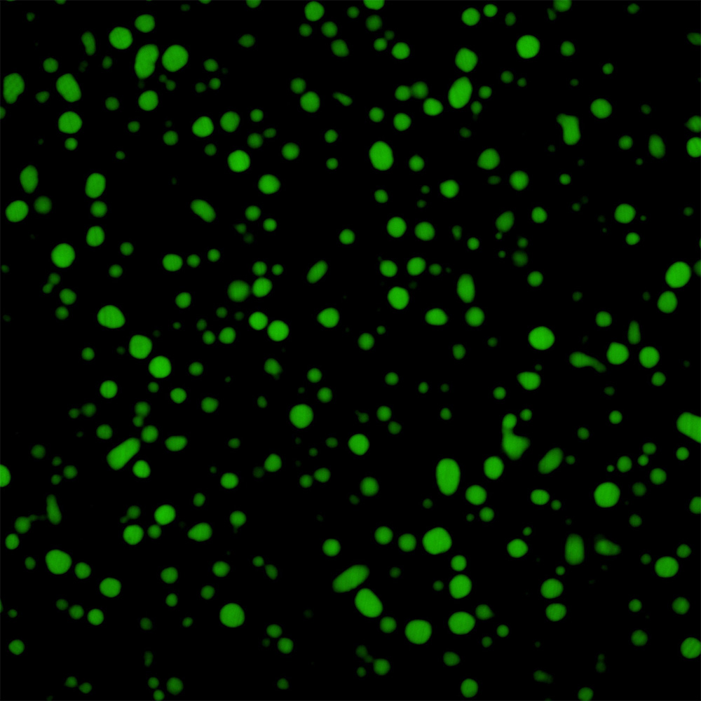 Green biomolecular condensates