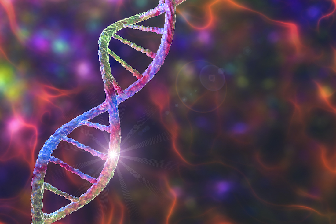 Genetic mutation, conceptual illustration. Double stranded deoxyribonucleic acid (DNA) molecule with mutation in a gene.