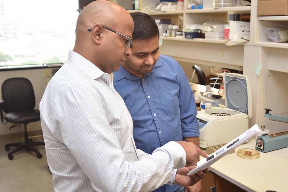 Study leader Srinivas Malladi, Ph.D., (left) worked with postdoctoral researcher Pravat Kumar Parida, Ph.D., to investigate the changing shape of mitochondria in breast cancer cells that migrate to the brain.
