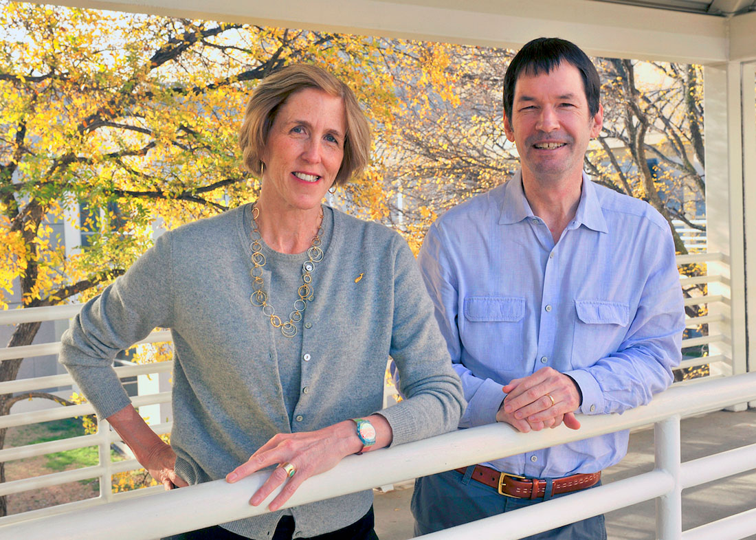 The Feinstein Institutes for Medical Research has selected two scientists from UT Southwestern Medical Center, Helen H. Hobbs, M.D., and Jonathan C. Cohen, Ph.D., to receive the 10th annual Ross Prize in Molecular Medicine for groundbreaking research in dyslipidemias and metabolic liver disease. 