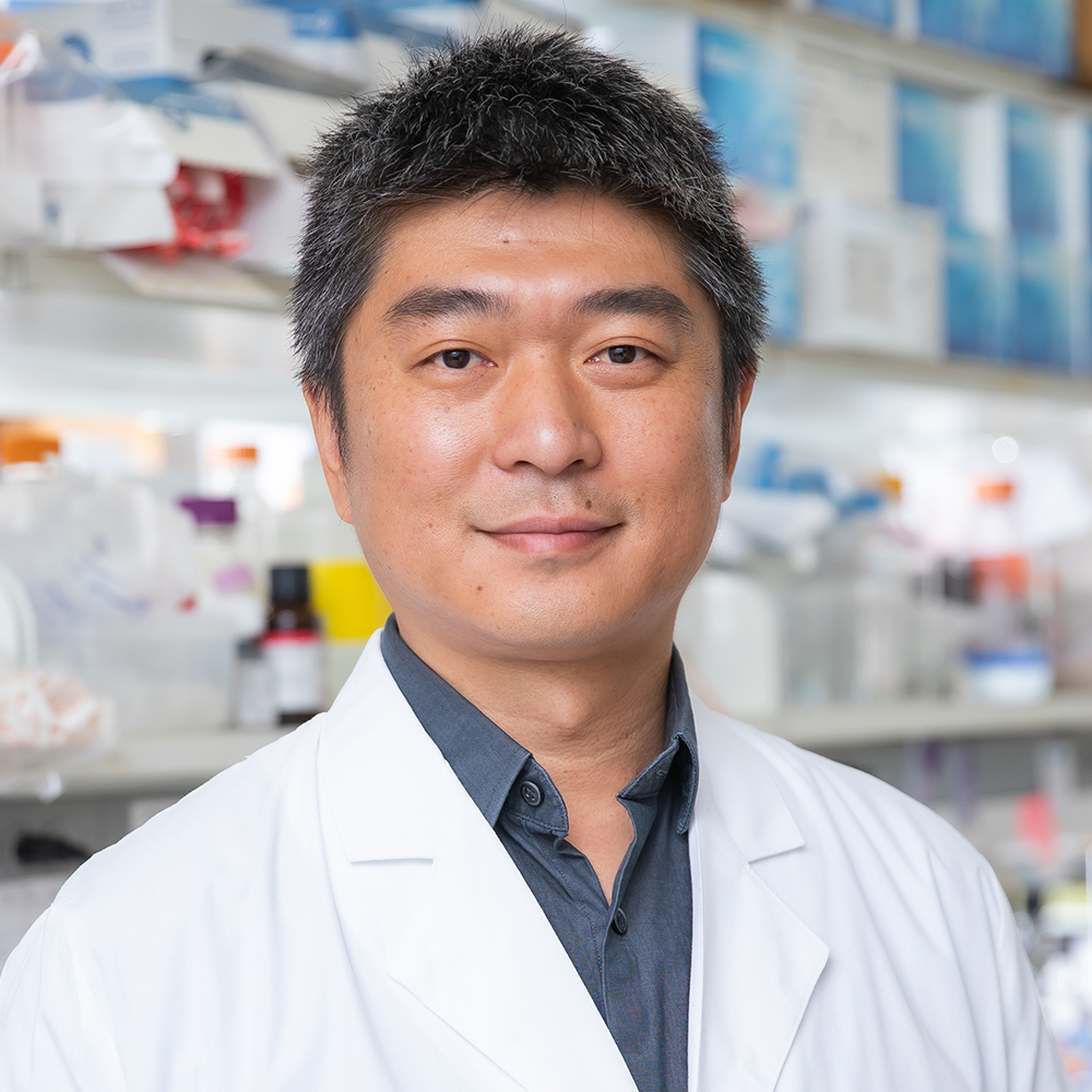 Jun Wu, Ph.D.