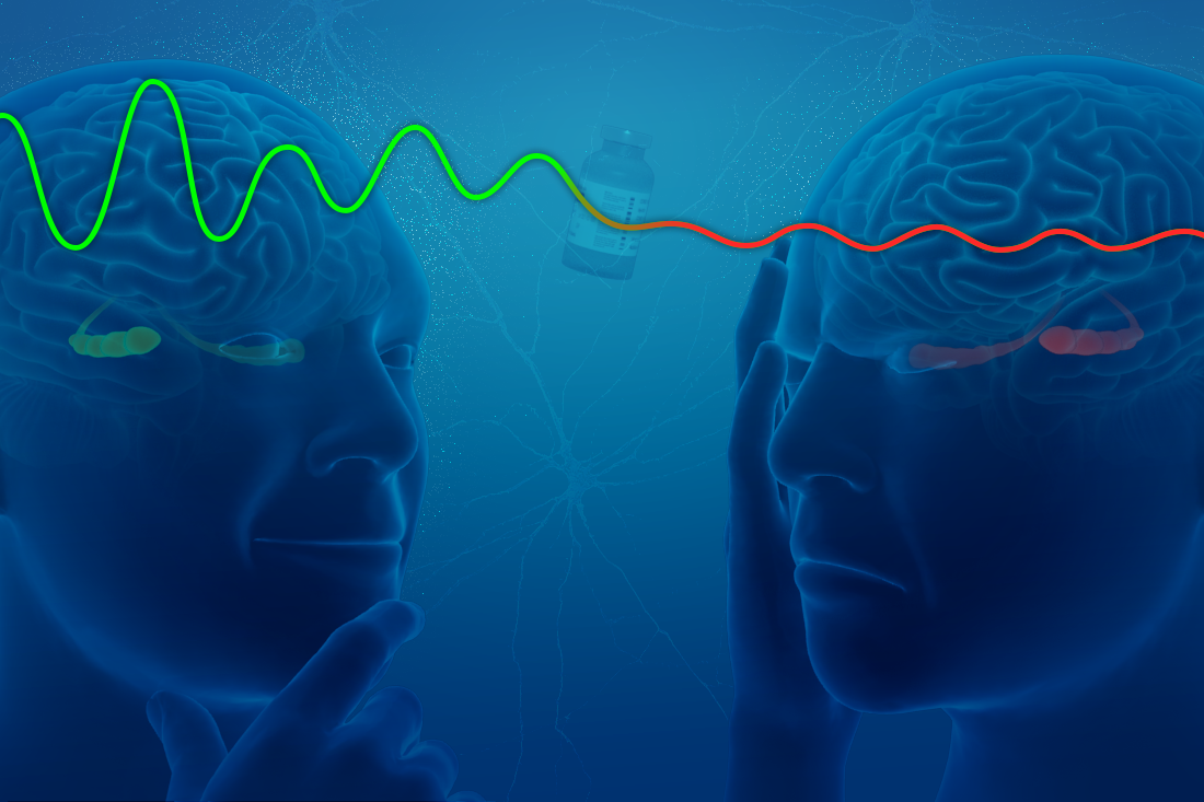 Theta oscillations – brain waves