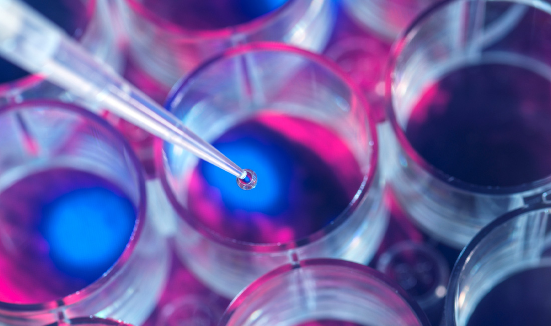 Cell research, Scientist pipetting samples into a multi well plate during an experiment in the lab with a screen image of cells in the background