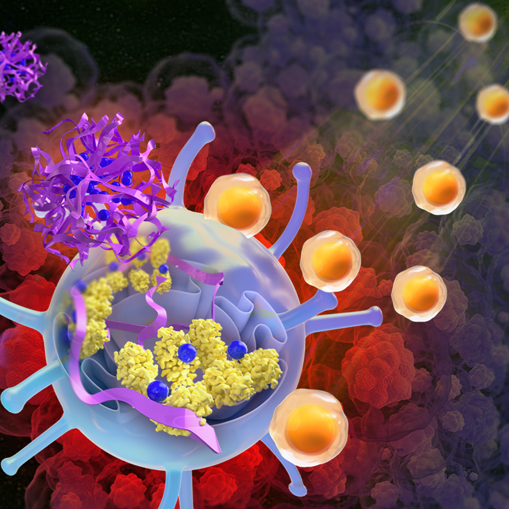 Illustration depicts a nanoparticle (purple) activating the stimulator of interferon genes (STING) proteins (yellow)