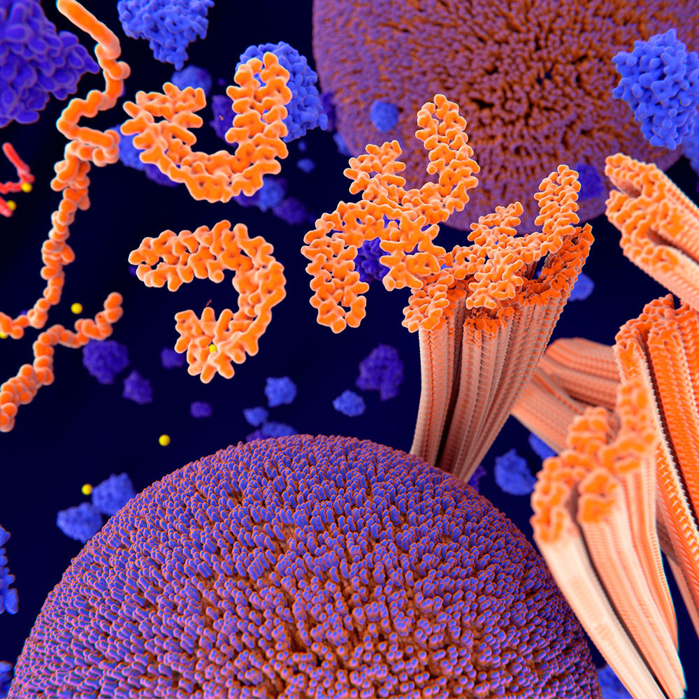 Tau protein illustration
