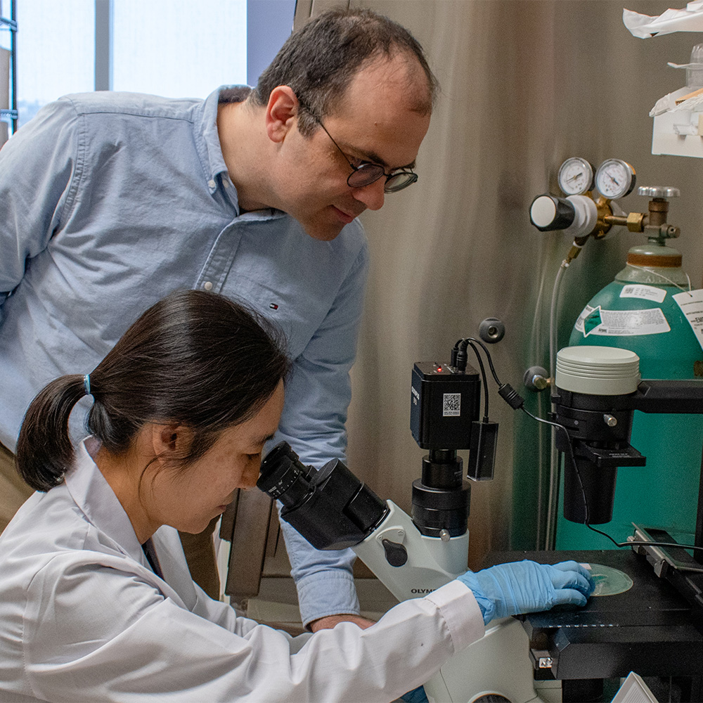 Manual de Diagnóstico de Malaria en Honduras | PDF | Malaria | Reacción en  cadena de la polimerasa, image size:1000x1000