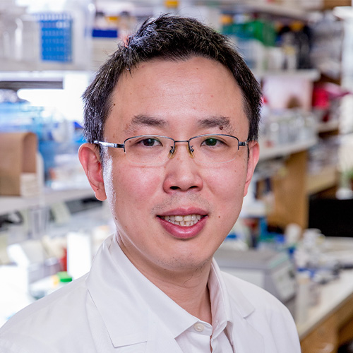 Xiaochen Bai, Ph.D.