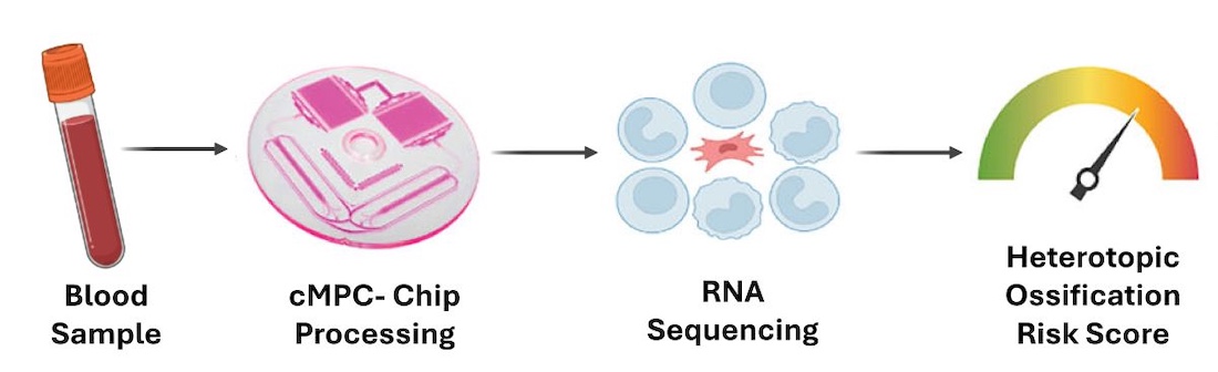 illustration shows the blood-testing process