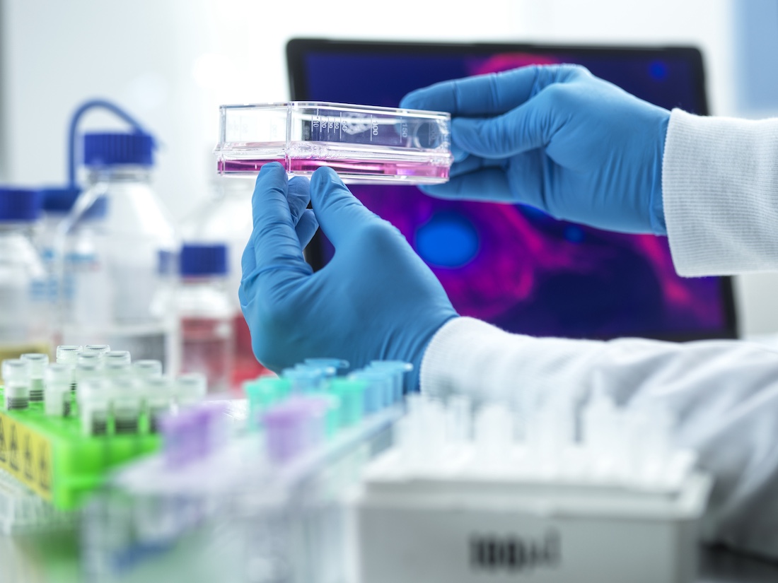 Scientist experimenting with cells in laboratory