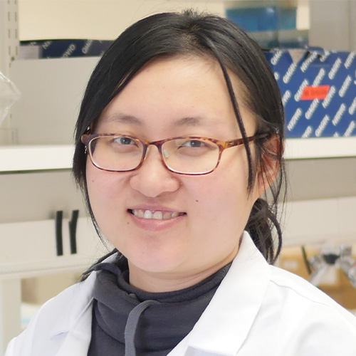 Jie Li, Ph.D.
