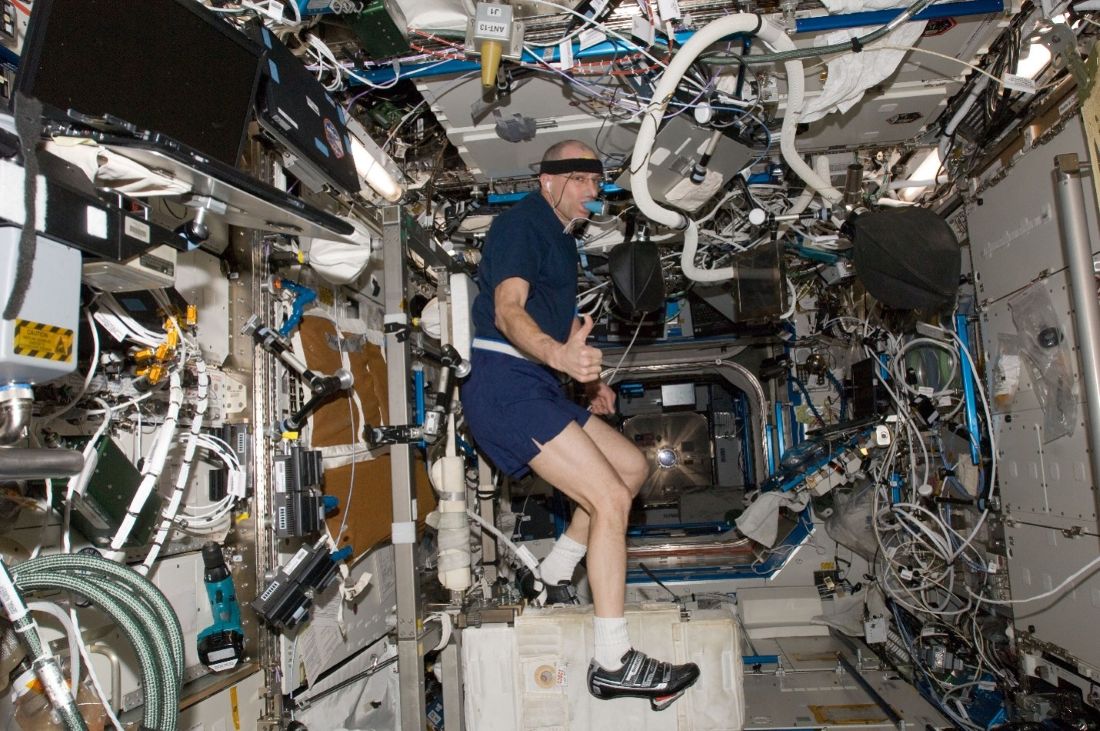NASA astronaut Don Pettit