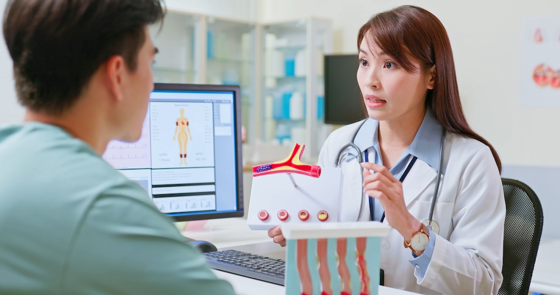 Young male patient listens female neurologist explains vascular conditions using a blood vessel model covering examination results arterial blockage and hardening causes effects