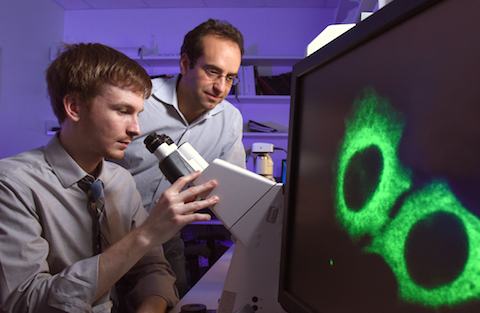 Dr. Joshua Mendell and Ryan Golden at microscope
