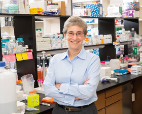 New Vice Provost and Dean of Basic Research Joins UTSW