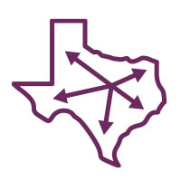 state of Texas icon