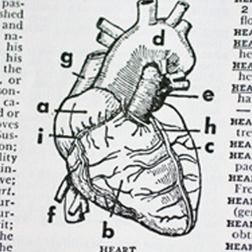 A picture of heart