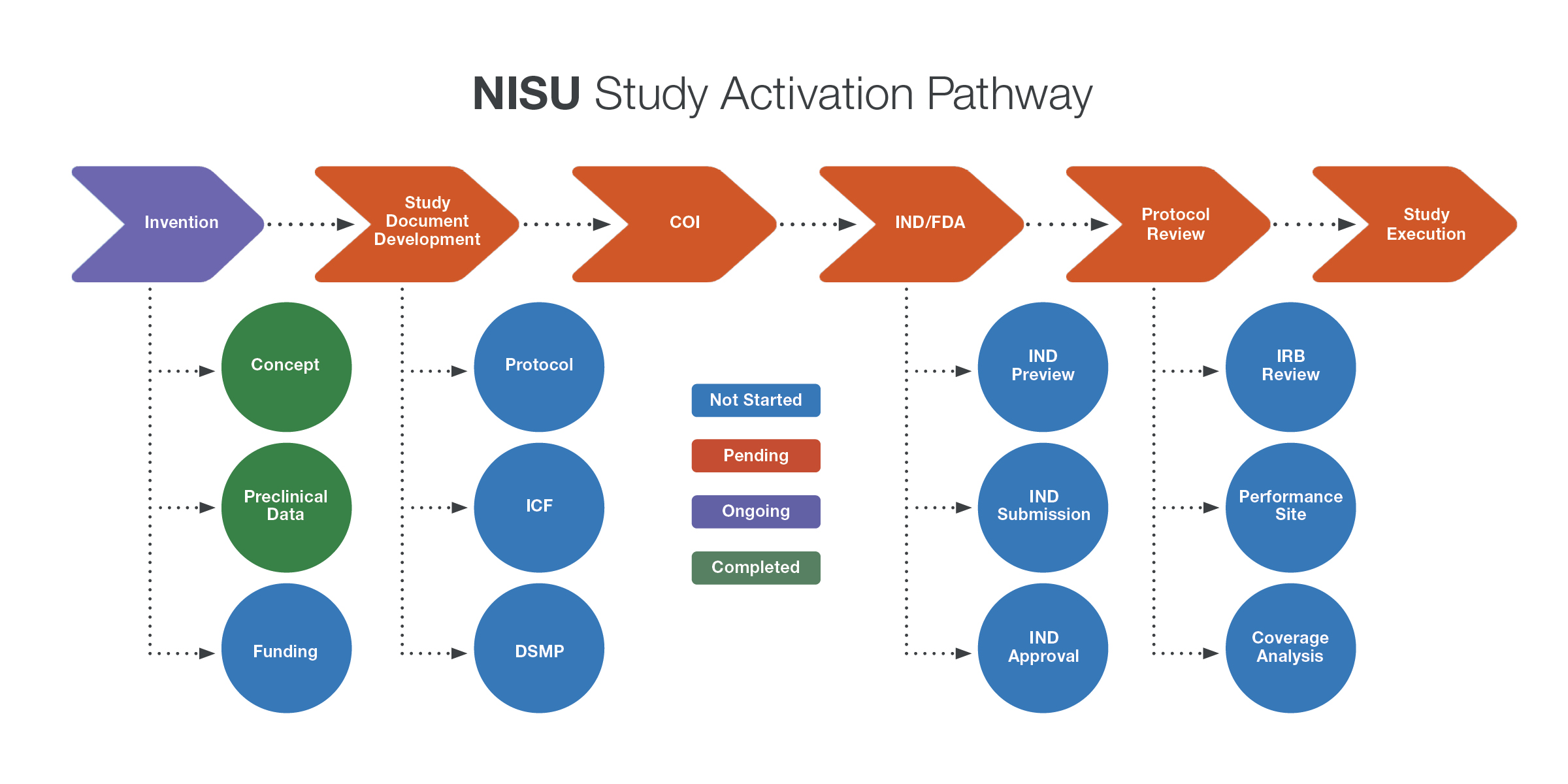 Study Activation Graphic