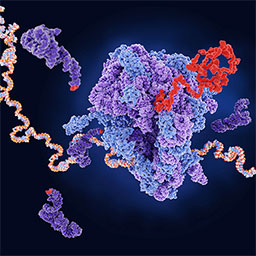 Protein synthesis illustration that shows colorful strands and clumps of proteins