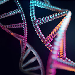 Two short DNA helix strands in shades of pink, orange, and blue
