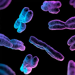Seven blue and purple computer-generated chromosomes on black background