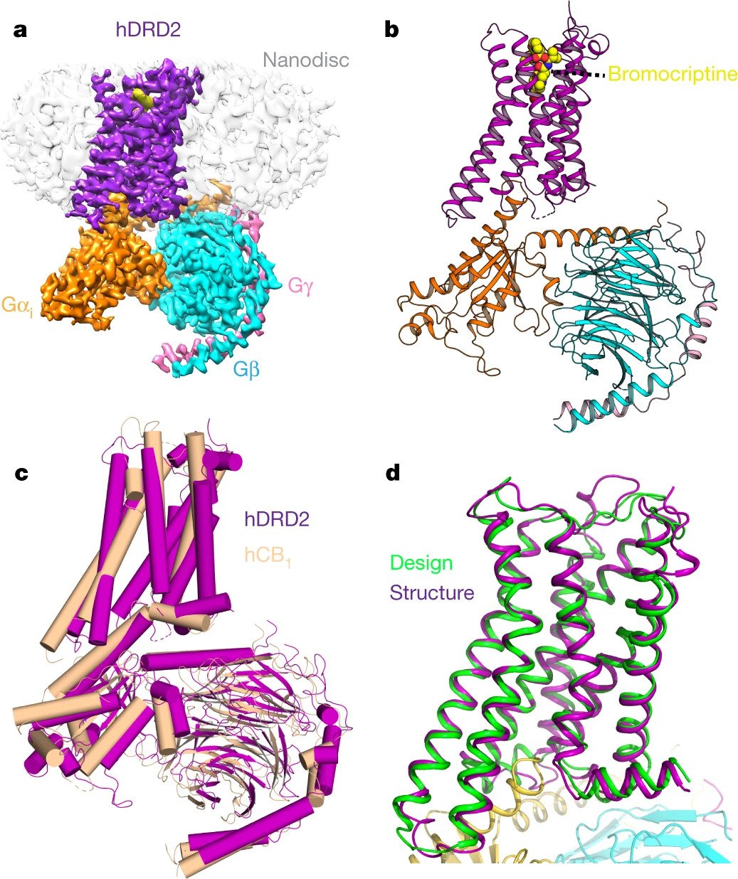 Shared structural mechanisms of general anaesthetics and benzodiazepines