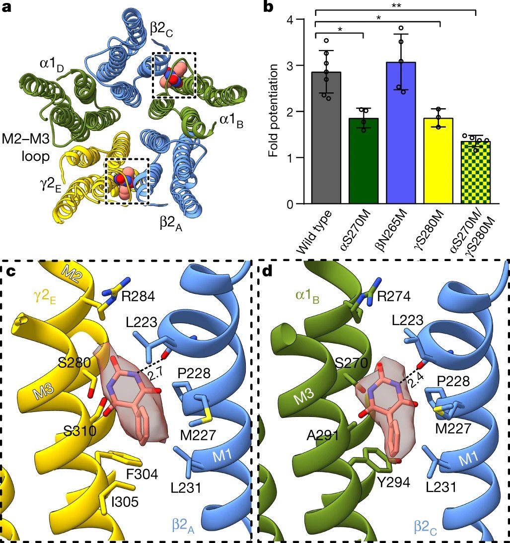 Shared structural mechanisms of general anaesthetics and benzodiazepines