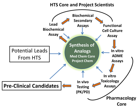 Hit-to-Lead Development Cycle