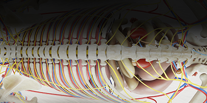 anatomic pathology