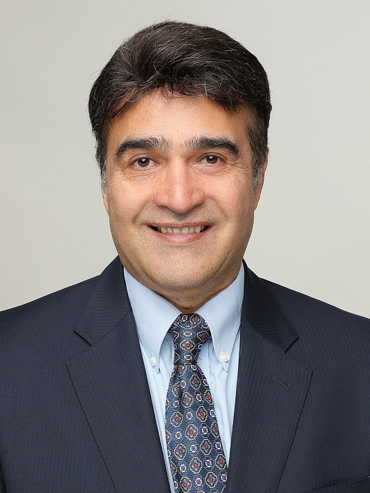 Dr. Hamid Baniasadi portrait