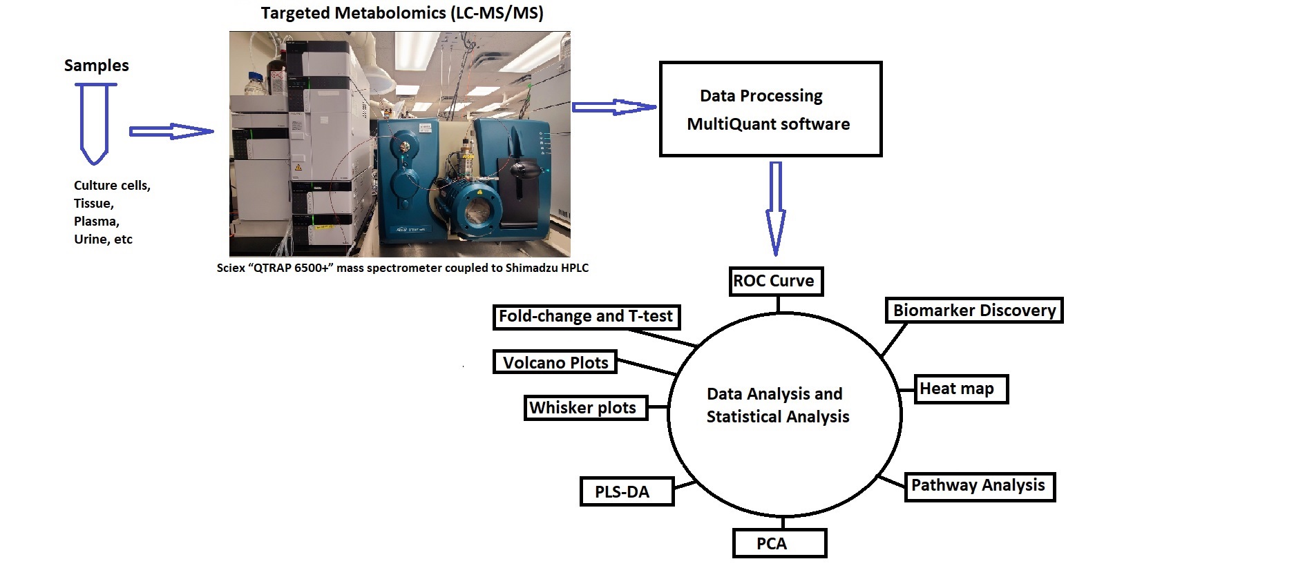 Diagram outlining the targeted metabolomics workflow from sample to data processing to ROC curve analysis