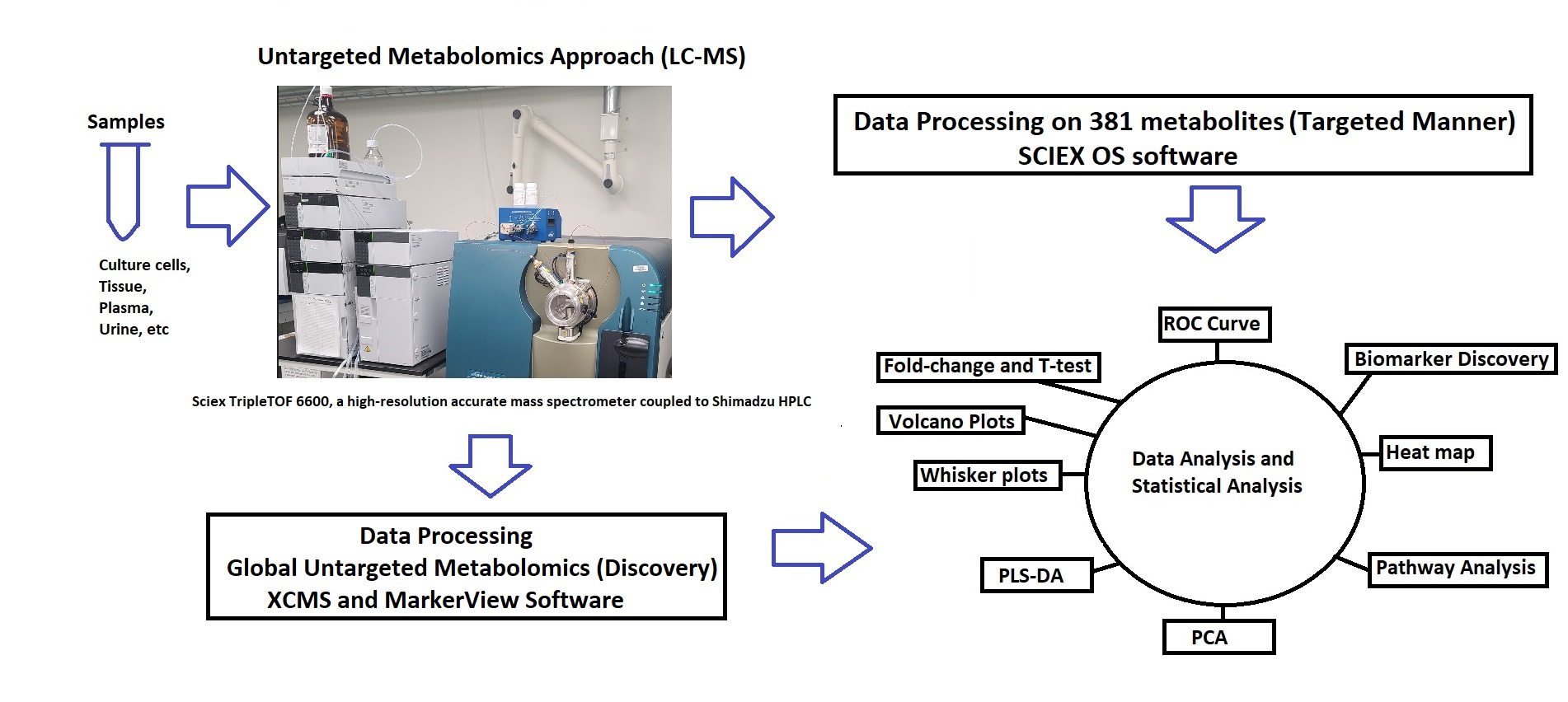 Diagram outlining the untargeted metabolomics workflow from sample to data processing to ROC curve analysis