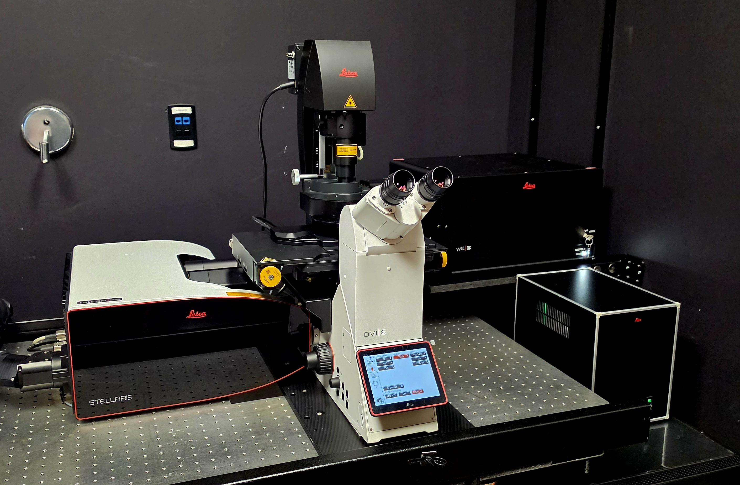  Leica Stellaris Falcon 8