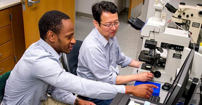 Two men working with a microscope