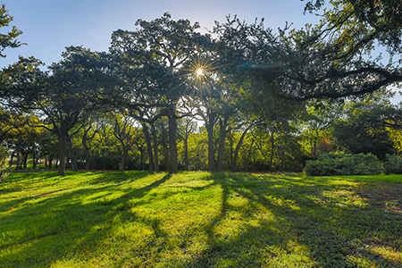 Earth Month at UT Southwestern