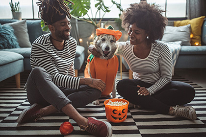 Dress your pet in their Halloween best and see them in Center Times Plus