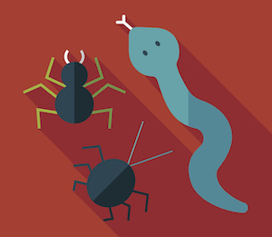 Illustration of a snake and two bugs