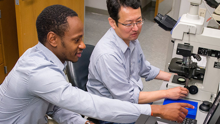 two researchers at microscope